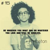 Princeton quote #2