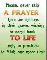 Prostrate quote #2