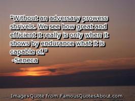 Prowess quote #2