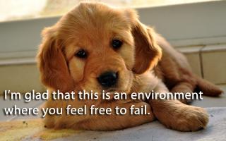 Puppy quote #2