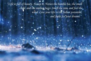 Rained quote #2