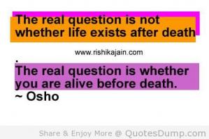 Real Question quote #2
