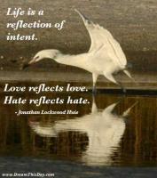 Reflected quote #4