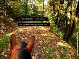 Ride Horses quote #2