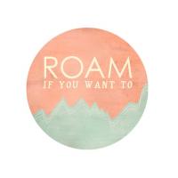 Roam quote #2