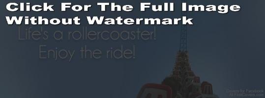 Rollercoaster quote #2