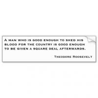 Roosevelt quote #1