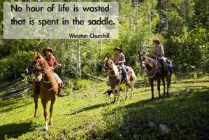 Saddle quote #1