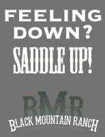 Saddle quote #1