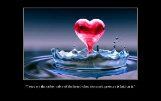 Safety Valve quote #2