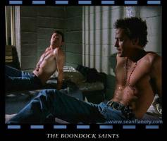 Sean Patrick Flanery's quote