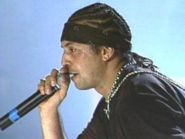 Sean Paul's quote