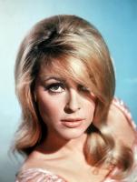 Sharon Tate profile photo