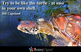 Shell quote #1