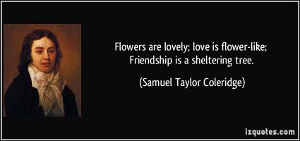 Sheltering quote #1