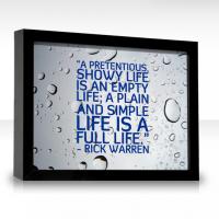 Showy quote #1