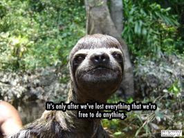 Sloth quote #2