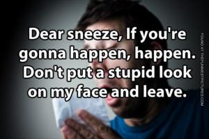 Sneeze quote #1