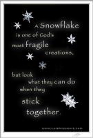 Snowflake quote #1