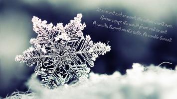 Snowflake quote #1