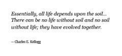 Soil quote #6