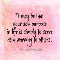 Sole Purpose quote #2