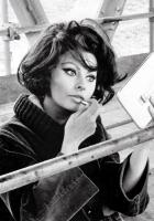 Sophia Loren profile photo