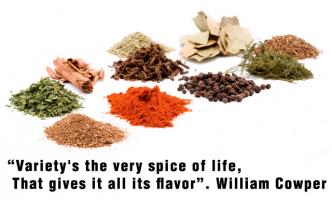 Spice quote #3