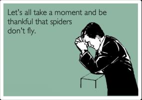 Spiders quote #1