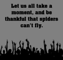 Spiders quote #1