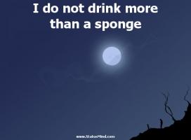 Sponge quote #2