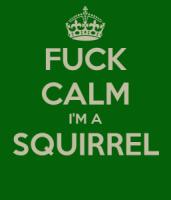 Squirrel quote #2