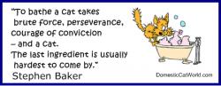 Stephen Baker's quote
