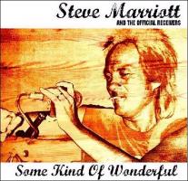 Steve Marriott's quote #2