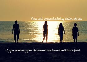Stroll quote #1