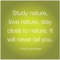 Study Nature quote #2