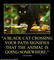 Superstitions quote #2