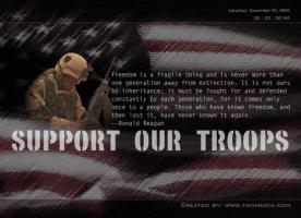 Support Our Troops quote #2