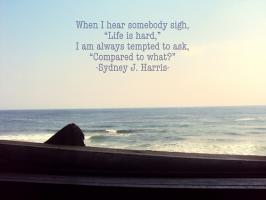 Sydney Harris's quote