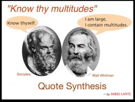 Synthesis quote #1
