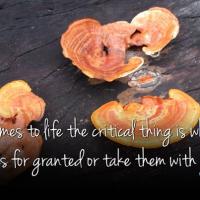 Taking Things For Granted quote #1