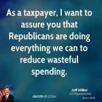 Taxpayer quote #1