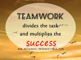 Team Effort quote #2