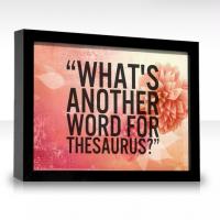 Thesaurus quote #2