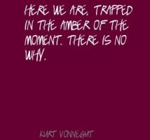 Trapped quote #7