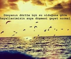 Turkish quote #2