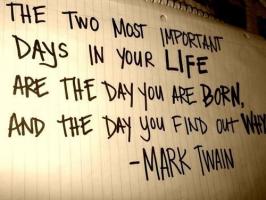 Twain quote #1
