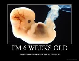 Unborn Children quote #2