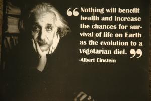 Vegetarianism quote #2