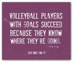 Volley quote #2